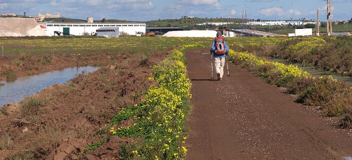 2011 01 30_1295_P5